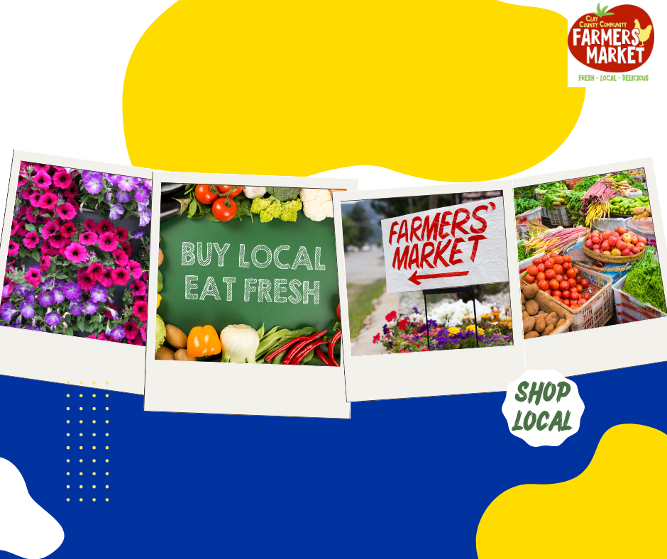Multiple Farmers Market pictures