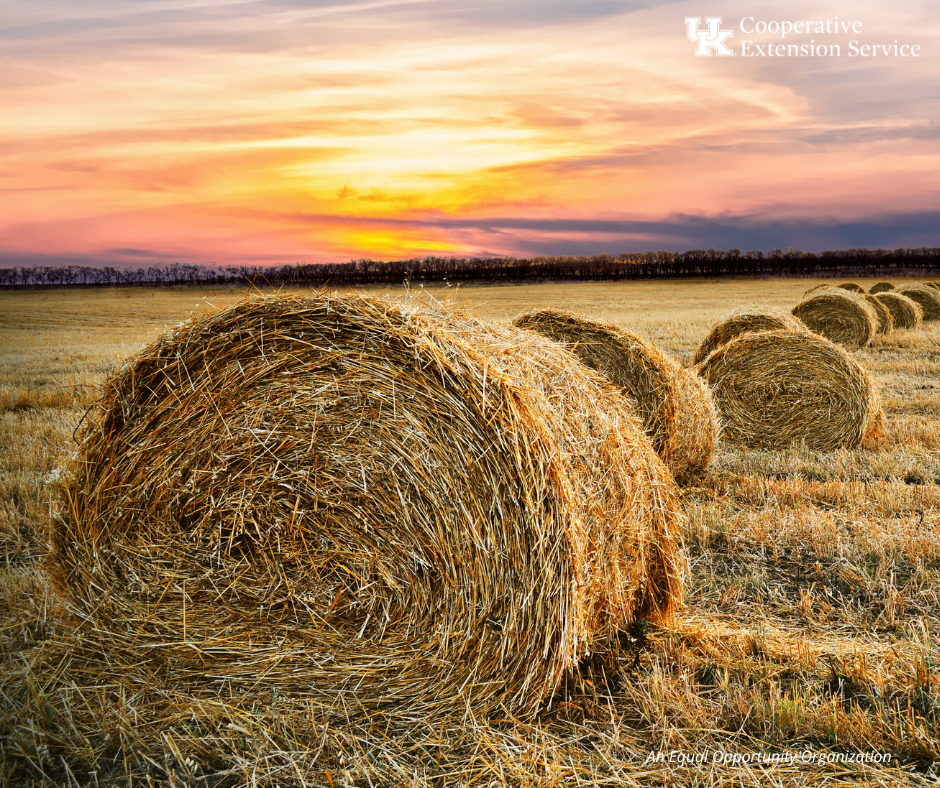 Large bales of hay on a farm
