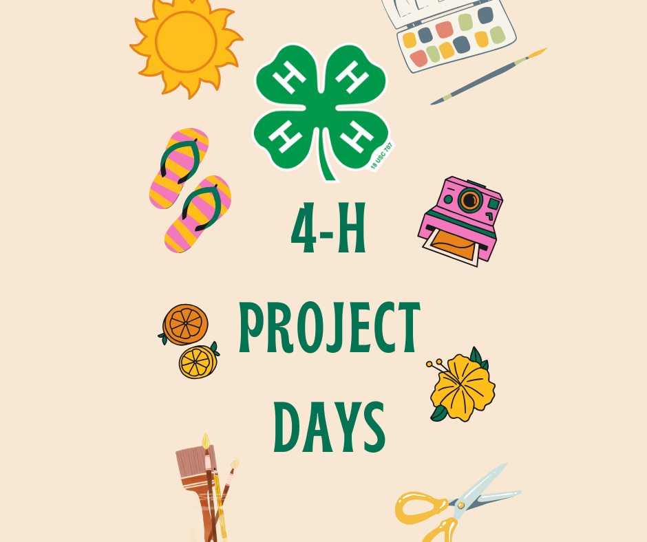 4-H Project Days flyer