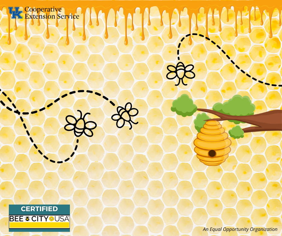 Honeycomb and bees clipart