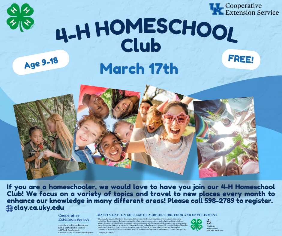 4-H Homeschool flyer