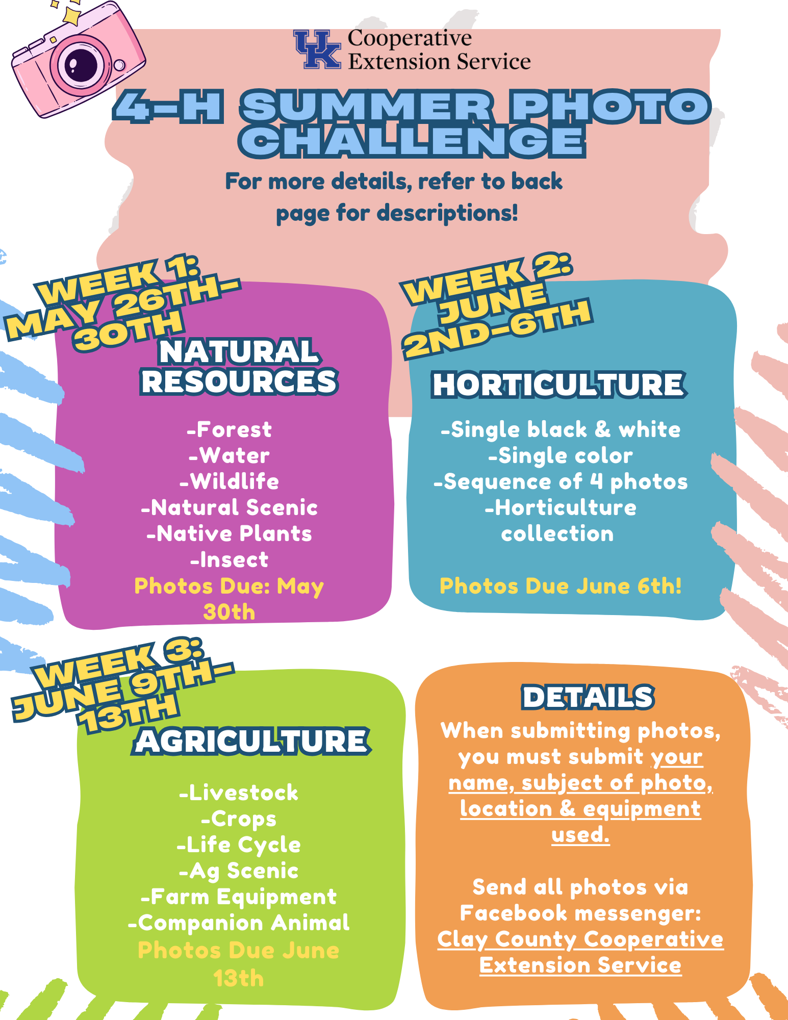 4-H Summer Photo Challenge flyer