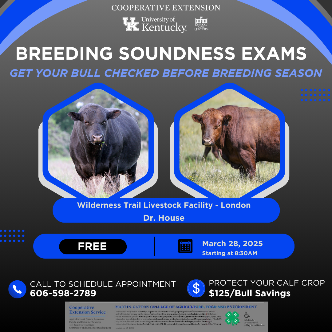 Breeding Soundness Exam Clinic flyer