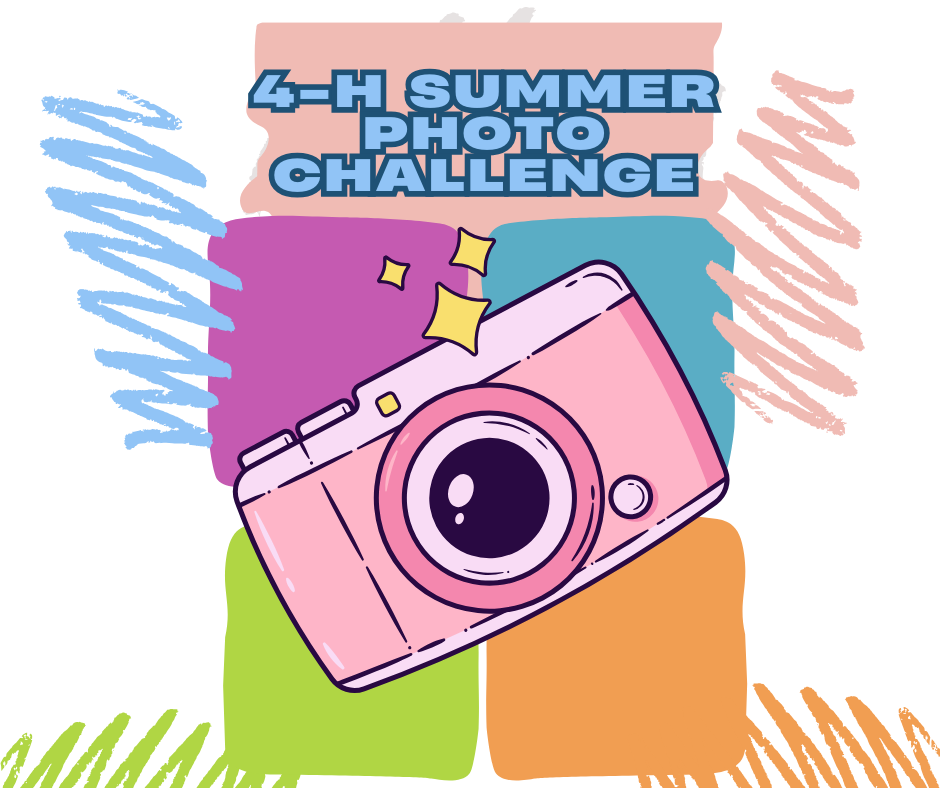 Pink camera