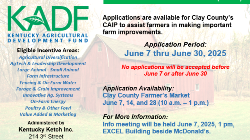 CAIP flyer