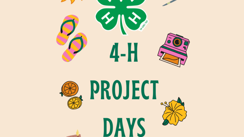 4-H Project Days flyer